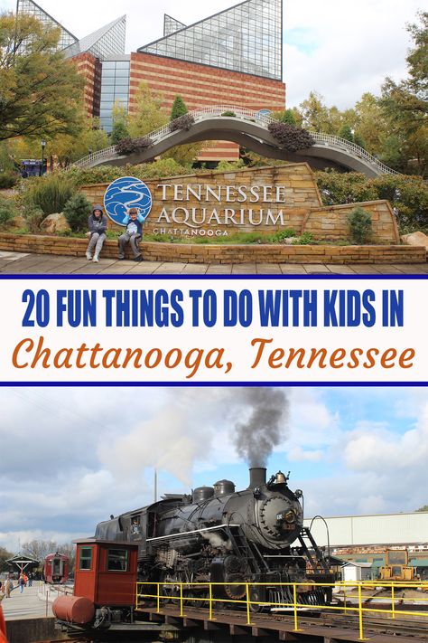 Tennessee Aquarium Chattanooga, Build A Floating Bed, Tennessee Road Trip, Tennessee Aquarium, Tennessee Travel, Tennessee Vacation, Floating Bed, Things To Do With Kids, Chattanooga Tennessee