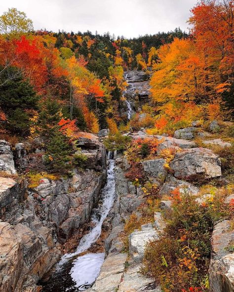 White Mountain National Forest In New Hampshire, USA Autumn Mountains, White Mountains New Hampshire, White Mountain National Forest, Cascade Falls, Adventure Photographer, Appalachian Mountains, White Mountains, Take A Hike, Autumn Colors