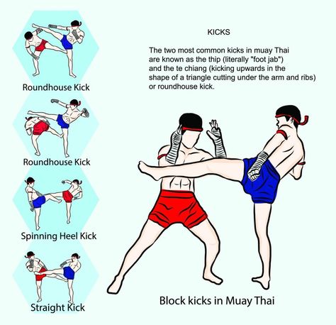 Muay Thai Techniques – All about Thai Boxing moves - Muay Thai Techniques Kicks Boxing Moves, Muay Thai Workouts, Muay Thai Techniques, Muay Boran, Muay Thai Martial Arts, Fighter Workout, Mixed Martial Arts Training, Boxing Techniques, Martial Arts Quotes