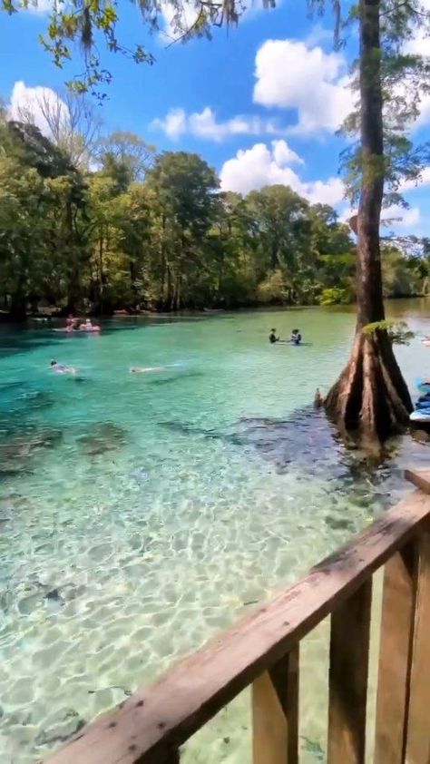 Cooling off in the crystal clear waters of Cypress Springs, Vernon FL 🩵💙🩵💙 📹 @sea.air.ah_j #florida #floridalife #lovefl #loveflorida #ocala #gainesville #orlando #apopka #tampabay #visitflorida #sunshinestate #onlyinflorida #springs #nature | Stay Salty Florida | Austin Farwell · Deep Breaths Cypress Springs Florida, Orlando Beach, Stay Salty, Florida Springs, Ocala Florida, Deep Breaths, Florida Living, Visit Florida, Sarasota Florida