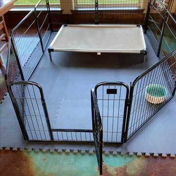 So, what makes the best dog crate floor protection mat? When Greatmats rubber or foam flooring product are placed under the crate, the floor will be protected from the frequent scratch that could otherwise occur if using a simple 36 or 48 inch rug. Indoor Dog Area, Dog Friendly Flooring, Indoor Dog Pen, Dog Kennel Flooring, Whelping Puppies, Panel Fence, Pet Pen, Puppy Pens, Foam Floor Tiles