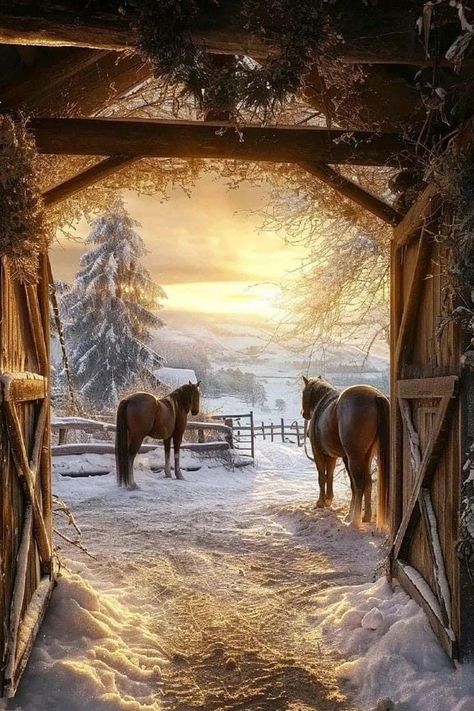 Norse Home, Horses In Snow, Home Outside, Winter Horse, Scene Wallpaper, Christmas Landscape, Horse And Buggy, Horse Wallpaper, Horse Stables