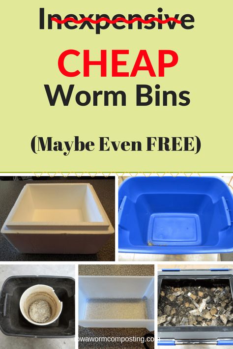 Worm Farm Diy, Worm Bins, Worm Beds, Worm Castings Tea, Worm Composting Bin, Composting Ideas, Red Wiggler Worms, Helping Nature, Red Wigglers