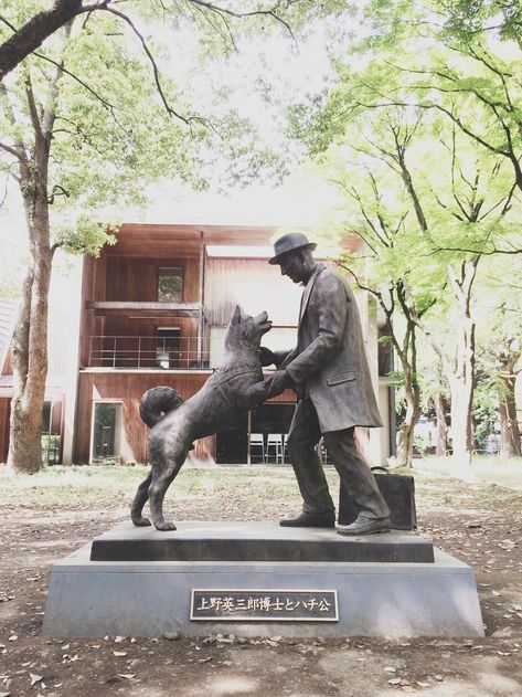 Hachiko and Professor Ueno Finally Reunited at This Spot in Tokyo University Hachiko Statue Shibuya, Hachiko Dog, Hachiko Statue, Tokyo University, Winter In Japan, Love Affection, Bear Attack, Tokyo Japan Travel, Dogs Trust