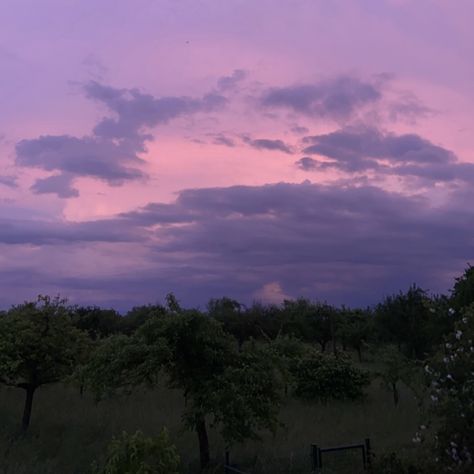 Purple Field Aesthetic, Purple Field Of Flowers, Summer Aesthetic Purple, Cottagecore Aesthetic Purple, Purple Western Aesthetic, Summer Purple Aesthetic, Purple Cottagecore Aesthetic, Purple Nature Aesthetic, Purple Summer Aesthetic