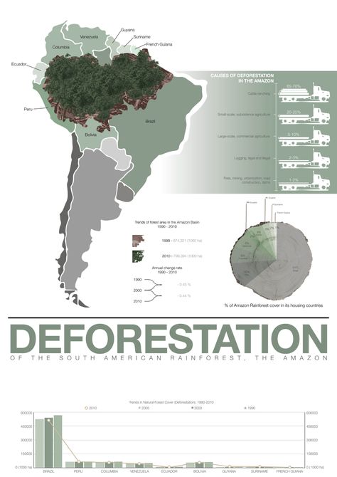 Infographic poster design: Deforestation of the Amazon Rainforest Afforestation Poster, Poster On Deforestation, Deforestation Poster, Deforestation Infographic, Deforestation Infographic Design, Rainforest Infographic, What Is Deforestation, Ecosystem Restoration Poster, Rainforest Deforestation