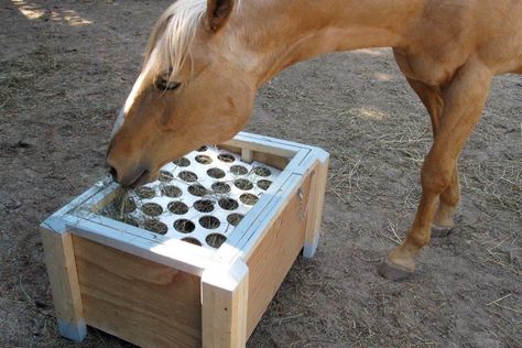 Grab your hammer, nails and wood! These DIY slow feeders are a must. Slow Feeders For Horses, Horse Feeder Diy, Equine Enrichment, Horse Slow Feeder, Hay Feeder For Horses, Fort Worth Stock Show, Horse Education, Hay Box, Horse Feeder