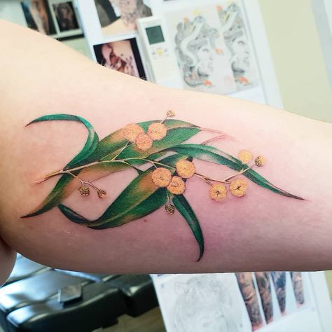 Australian Wattle Tattoo, Gum Blossom Tattoo, Wattle Tattoo, Dragon Tattoo Full Back, Moment Tattoo, Sumi Tattoo, Nursery 2024, Australia Tattoo, Mum Tattoo