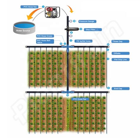 1 Hectare Design Agricultural Drip Irrigation System https://m.alibaba.com/product/60699170299/1-Hectare-Design-Agricultural-Drip-Irrigation.html?__sceneInfo={"cacheTime":"1800000","type":"appDetailShare"} Drip Irrigation System Design, Irrigation System Design, Drip Tape, Drip Irrigation System, System Design, Water Reservoir, Water Sources, Drip Irrigation, Water Saving