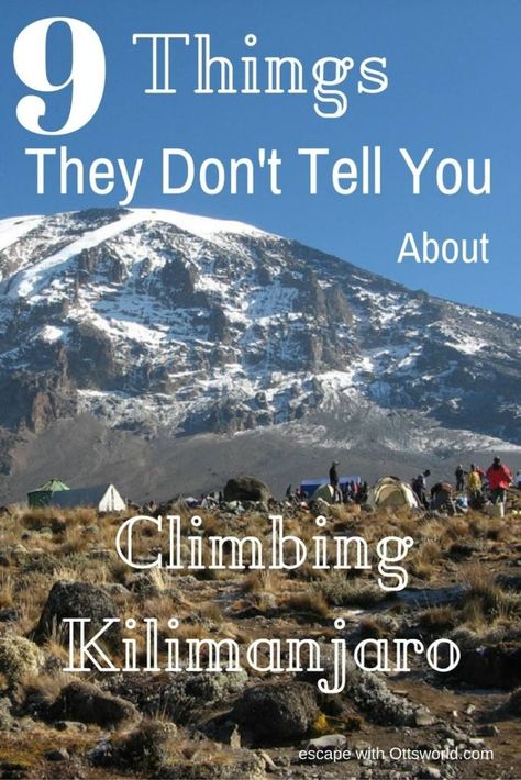 Climbing Kilimanjaro, Kilimanjaro Climb, Devil You Know, Tanzania Travel, Mount Kilimanjaro, Outdoor Climbing, Africa Safari, Best Hikes, Africa Travel