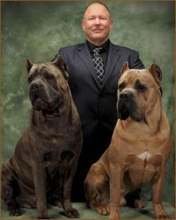 Cane Corso Breeder Cane Corso Formentino, Cane Corso Breeders, Cane Corso Italian Mastiff, Cane Corsos, Italian Mastiff, Mastiff Breeds, Cane Corso Puppies, Cane Corso Dog, Corso Dog