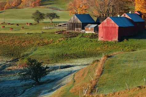 Jenne Farm in Vermont. Family Oriented, Vermont, My Wife, New England, Beautiful Places, Road Trip, Favorite Places, England, House Styles