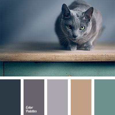 The skin color of Russian blue cat is abundant with the shades of gray, ranging from blue to pink. And combination of gray and acid green will fit perfectl. Color Concept, Palette Design, Colors Schemes, Color Palate, Design Seeds, Living Room Bathroom, Bath Room, Russian Blue, Colour Board