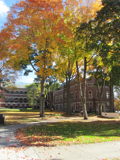 Fall colors at Clark University  http://www.clarku.edu/admissions Clark University, Wish Board, University Campus, Boarding School, Future Life, Senior Year, School Year, Fall Colors, Vision Board