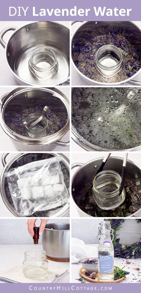 photo collage showing step by step pictures for how to make lavender water Lavendar Water, Lavender Oil Diy, Lavender Hydrosol, Toner Face, Lavender Uses, Diy Lavender, Lavender Crafts, Lavender Recipes, Homemade Beauty Recipes