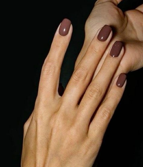 Nails Fall/winter, Short Nails Tortoise, Nails For Soft Autumn, Fall Taupe Nails, Nail Color Pale Skin, Espresso Nails Design, Pinkish Brown Nails, Neutral Thanksgiving Nails, Short Nail Colours