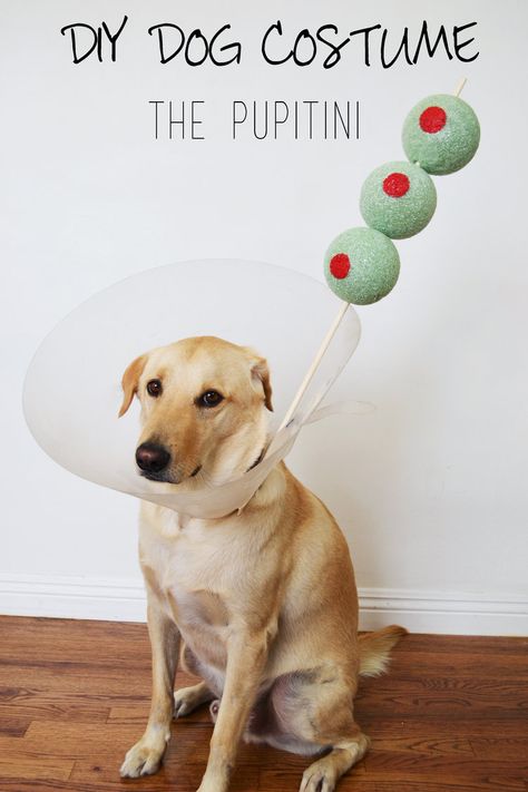 Last minute Halloween Costume: The Pupitini Dog Costume Diy, Dog Fancy Dress, Last Minute Halloween Costume, Puppy Time, Best Sister Ever, Last Minute Halloween, Diy Dog Costumes, Last Minute Halloween Costumes, Costume Diy