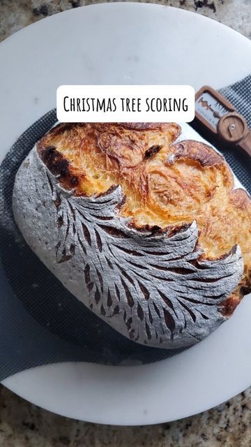 Thanksgiving Bread Scoring, Easy Sourdough Scoring Patterns, Christmas Scoring Sourdough, Christmas Tree Sourdough Bread, Christmas Shaped Sourdough, Christmas Tree Scoring Sourdough, Sourdough Bread Designs Christmas, Fun Sourdough Scoring, Sourdough Scoring Patterns Christmas