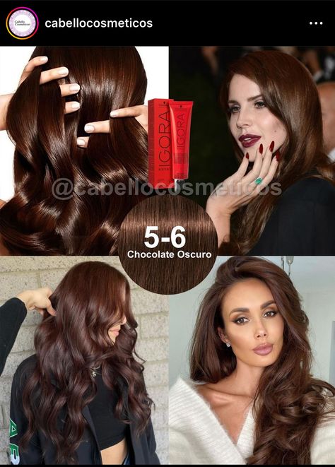 Hair Color Without Declare, Igora Royal Chocolate Brown, Igora Hair Color Brown, Igora Color Chart, Igora Hair Color Formulas, Neutral Chocolate Brown Hair, Wella Illumina Formulas, Pelo Color Chocolate, Chocolate Auburn Hair