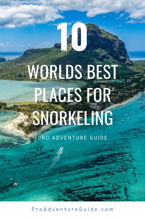 The 10 best places in the world to go snorkeling Best Snorkeling In The World, Snorkeling In Hawaii, Tide Pooling, Best Places To Snorkel, Hawaii Snorkeling, Philippines Vacation, Best Places In The World, Maldives Beach, Visit Maldives