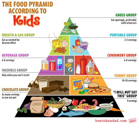 [ click the images to enlarge ]   Children look at food and nutrition differently than adults do. Sometimes they don't even look at it, they just breath it in without even chewing. Some are picky and have roulette wheels for appetites. But whatever the case, the food groups... #diagram #food #funny Food Pyramid Kids, Nutrition Pyramid, Kids Foods, Laugh Of The Day, Food Pyramid, Food Groups, Health Snacks, Baby Center, Healthy Meals For Kids