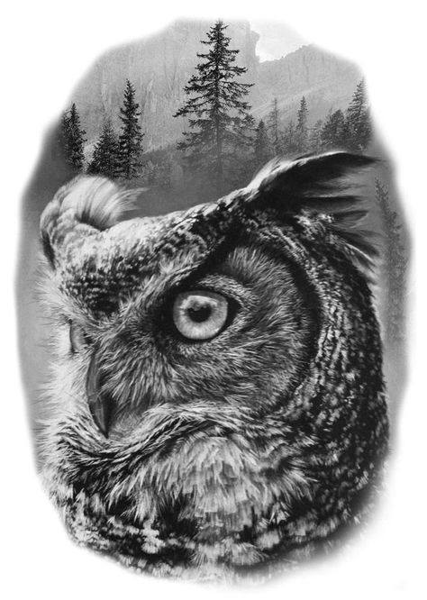 Tattoo Design Sketches, White Owl Tattoo, Realistic Owl Tattoo, Owl Tattoo Sleeve, Owl Tattoo Drawings, Owl Photography, Owl Artwork, Owl Tattoo Design, Owls Drawing