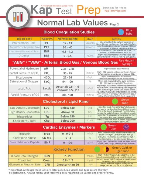 Normal Lab Levels Nursing 022 Prothrombin Time, Nursing Labs, D Dimer, Lab Values, College Work, Related Images, Blood Test, Nursing, Lab