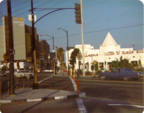 Wc Aesthetic, Teenage Rage, Curved Building, Long Building, Lana Albums, Blue Banisters, Romanticized Life, Los Angeles Aesthetic, Lala Land