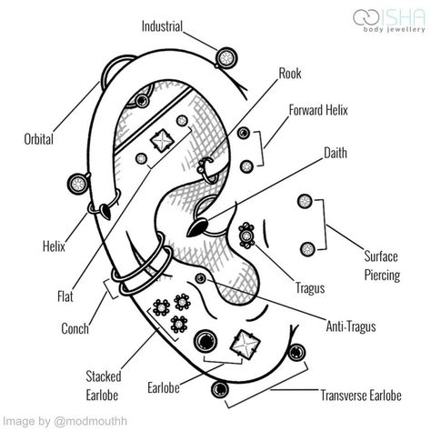 Isha Body Jewellery’s Instagram post: “Know your ear piercings! 👂 ⠀⠀⠀⠀⠀⠀⠀⠀⠀ Did you know there were so many types of piercings just in the ear? Most of us tend to start our…” Eyebrow Piercing Placement Chart, Piercing Placement Chart, Piercing Placement, Piercings Chart, Piercing Types, Eyebrow Piercings, Piercing Chart, Face Piercings, Types Of Piercings