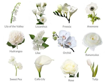 March Wedding Uk, Types Of Flowers Wedding Bouquet, Cheap White Flowers For Wedding, Wedding Flowers May Uk, March Wedding Flowers Uk, White Wedding Flowers With Lots Of Greenery, Types Of White Wedding Flowers, June Seasonal Flowers, Spring Wedding Bouquets Tulips