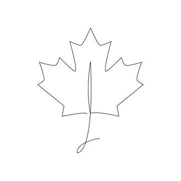 Maple Leaf Line Art, Canada Tattoo Ideas, Maple Leaf Outline, Maple Leaf Tattoos, Leaf Line Art, Canada Tattoo, Wire Creations, Leaf Tattoo, Cactus Tattoo