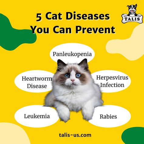 Help Cat, Cat Diseases, Sick Cat, Tick Prevention, Cat Care Tips, Cat Help, Life Care, Flea And Tick, Service Animal