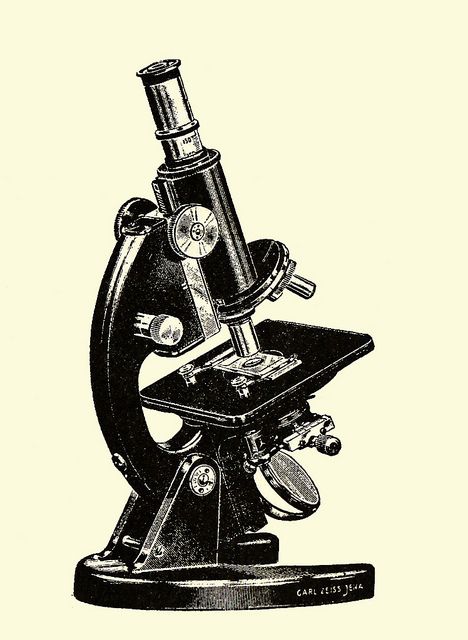 vintage microscope clip art Microscope Art, Studio Room Design, Biology Poster, Pram Toys, Science Biology, Graphic Design Projects, Microbiology, Science And Nature, Biology