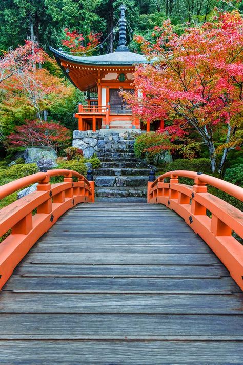 Kamakura, Visit Japan, Kyoto Japan, Autumn Colors, Elba, Japanese Garden, Places Around The World, Asia Travel, Japan Travel