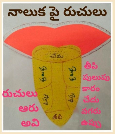 Tlm For Primary Classes, Telugu Tlm, Telugu Letters, Telugu Language, 5th Class, Alphabet Charts, Radha Krishna Images, Valentine Photo, Charts For Kids