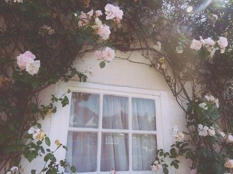 Princess Aesthetic, Aesthetic Images, My Dream Home, Future House, Pretty Flowers, Pretty Pictures, Secret Garden, Aesthetic Pictures, Pink Flowers