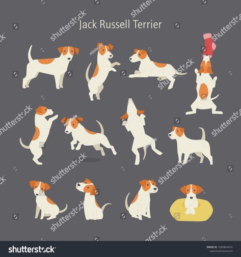 Jack russell terrier dog breed pose set. vector illustration flat designdog#breed#terrier#Jack Dog Illustration Art, Dog Travel Accessories, Jack Russell Dogs, Mosaic Animals, Illustration Flat, Rat Terrier, Dachshund Art, Dog Vector, Cat Pose