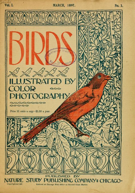 Old Book Cover, Vintage Bird Illustration, Collage Work, Archive Books, Bird Book, Botanical Illustration Vintage, Botanical Tattoo, 1 April, Photography Pricing