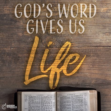 The Word of God gives spiritual and physical life to us. God's Word will physically produce health in us when we believe His Word. Gods Words, Healing Blessings, God Scriptures, Andrew Wommack, God's Presence, Book Of Proverbs, Proverbs 4, Bible Quotes Images, Christian Images