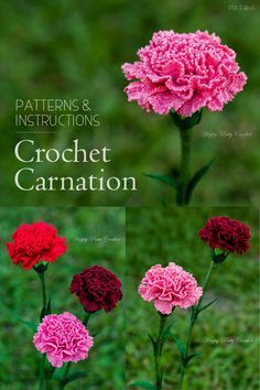 Crochet Carnation, Carnation Pattern, Flower Carnation, Crochet Flower Hat, Bouquet Crochet, Crochet Roses, Crochet Rose Pattern, Awesome Crochet, Crochet Flowers Free Pattern