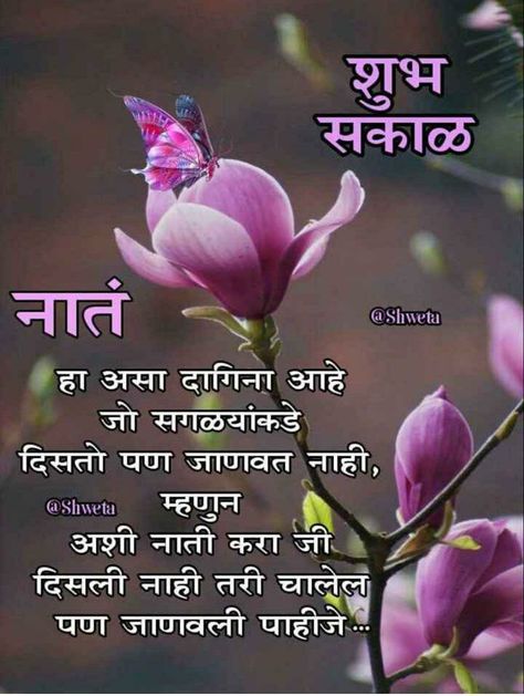 Shubh Sakal In Marathi, Romantic Morning Quotes, Good Morning India, Shubh Sakal, Good Night Massage, Good Morning Tea, Happy Anniversary Wishes, Happy Birthday Cake Images, Diy Hair Treatment