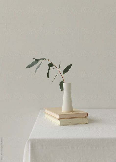 Minimal still life scene of 2 books on a table with white vase and foraged stems. Still Life With Books, Iphone Wallpaper Plants, Plants Minimalist, White Aesthetic Photography, Wallpaper Plants, Minimal Photo, Minimalist Photos, Minimal Photography, White Minimal