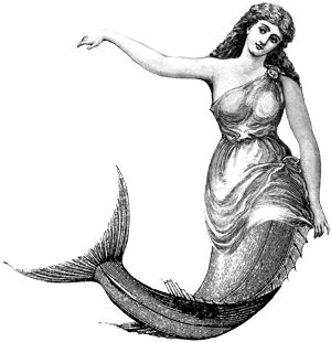 Drawing Professional, History Drawing, History Drawings, Mermaid Illustration, Mermaid Drawings, Mermaid Tattoo, Unique Drawings, Vintage Mermaid, Mermaid Art