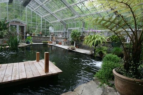 2 Floor Greenhouse, Home Aviary, Pond In Greenhouse, Greenhouse Pond, Pool Greenhouse, Greenhouse Pool, Murals On Walls, Winter Garden Florida, Earthship Home