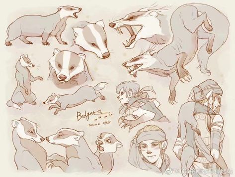 Badger Drawing Reference, How To Draw A Badger, Badger Fursona, Badger Character Design, Badger Reference, Badger Sketch, Badger Drawing, Badger Art, Badger Illustration