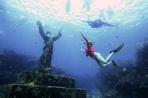 The Florida Keys: John Pennekamp Coral Reef State Park, Key Largo | VISIT FLORIDA Visiting Miami, Beach Travel Destinations, Surreal Places, Florida Keys Beaches, Ybor City, Places In Florida, Beach Destinations, The Florida Keys, Visit Florida