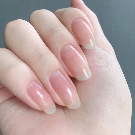 Long Nail Beds, Paradise Nails, Long Natural Nails, Hello Nails, Long Nail, Blush Nails, Pretty Gel Nails, Healthy Nails, Dream Nails