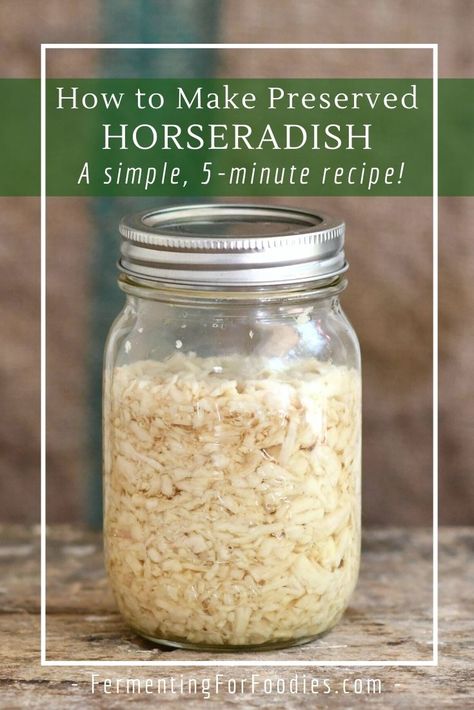 Homemade prepared horseradish is delicious in salads, with meat, sandwiches and mashed potatoes How To Prepare Horseradish Root, How To Eat Horseradish, How To Preserve Horseradish Root, Prepared Horseradish Recipe, Horseradish Uses, Preserving Horseradish, Fermented Horseradish, Fermentation Station, Horse Radish