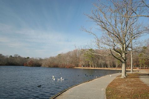 Belmont Lake State Park - Wikipedia Island Pics, Belmont Park, Island Pictures, Family Picnic, I Love Ny, Lake Park, Long Island Ny, Beautiful Beautiful, Island Girl