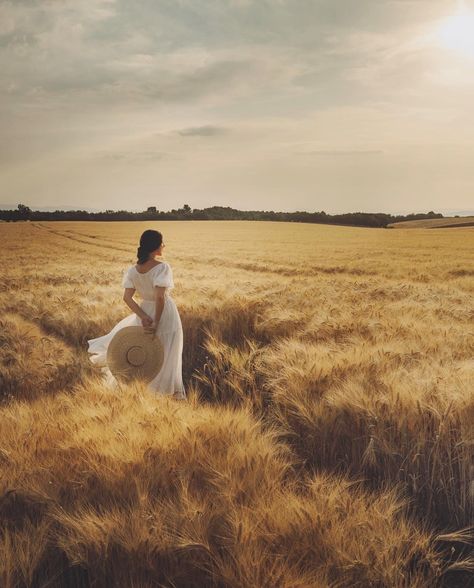 Wheat Field Photos, Jamie Beck, Country Home Magazine, Contents Page, My French Country Home, French Country Home, Fields Of Gold, Wheat Field, Summer Photoshoot